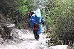 Terra Incognita �� ��������