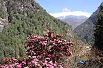 Terra Incognita �� ��������